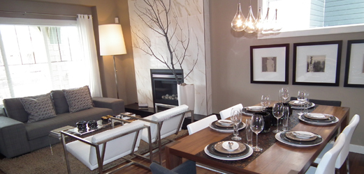 show home cleaning services